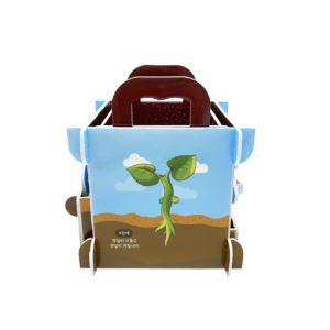 Explore the Life Cycle of Plants1