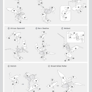 Birds of the World from a textbook3-2