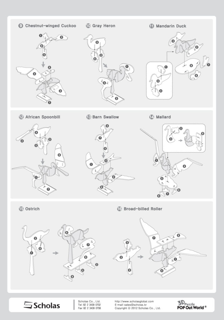 Birds of the World from a textbook3-2