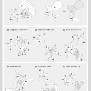 Birds of the World from a textbook3-1