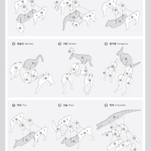 The Animal Kingdom from schoolbook3-1