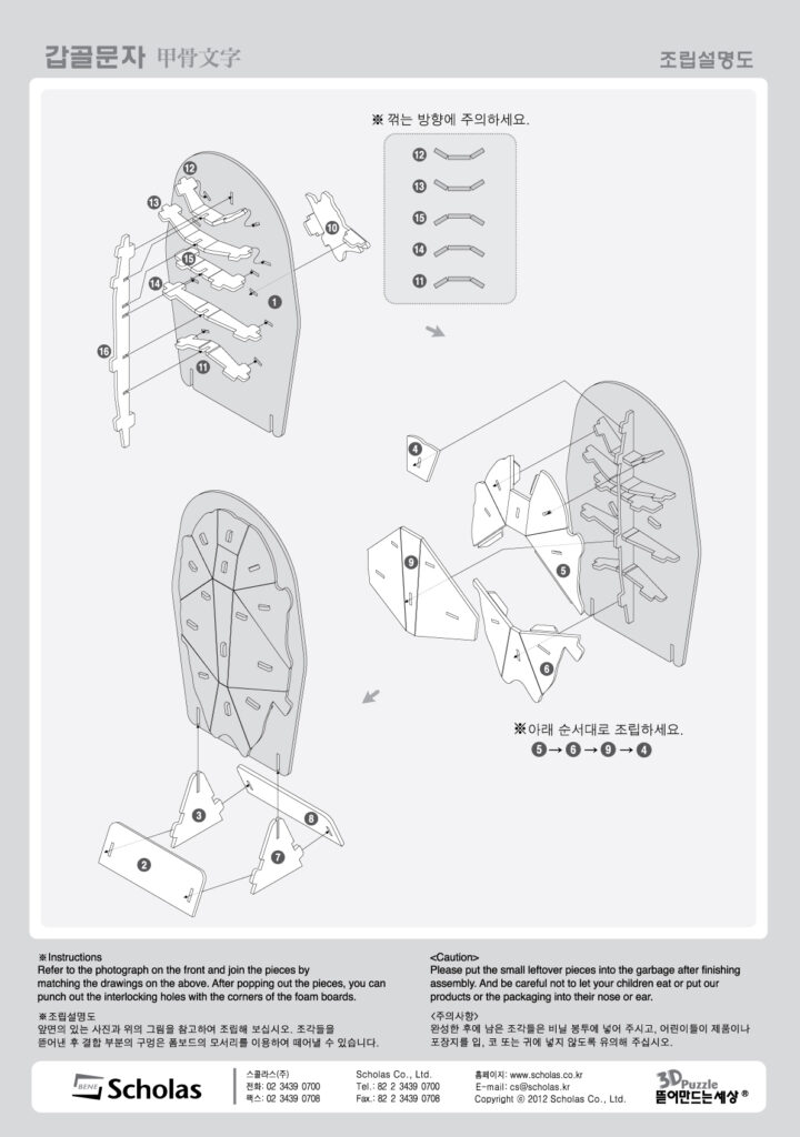 Oracle Bone Script-assemble