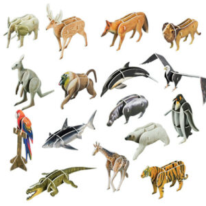 The Animal Kingdom from schoolbook