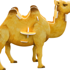 Explore the Life of Animals1