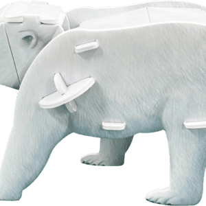 Explore the Life of Animals1