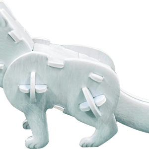 Explore the Life of Animals1