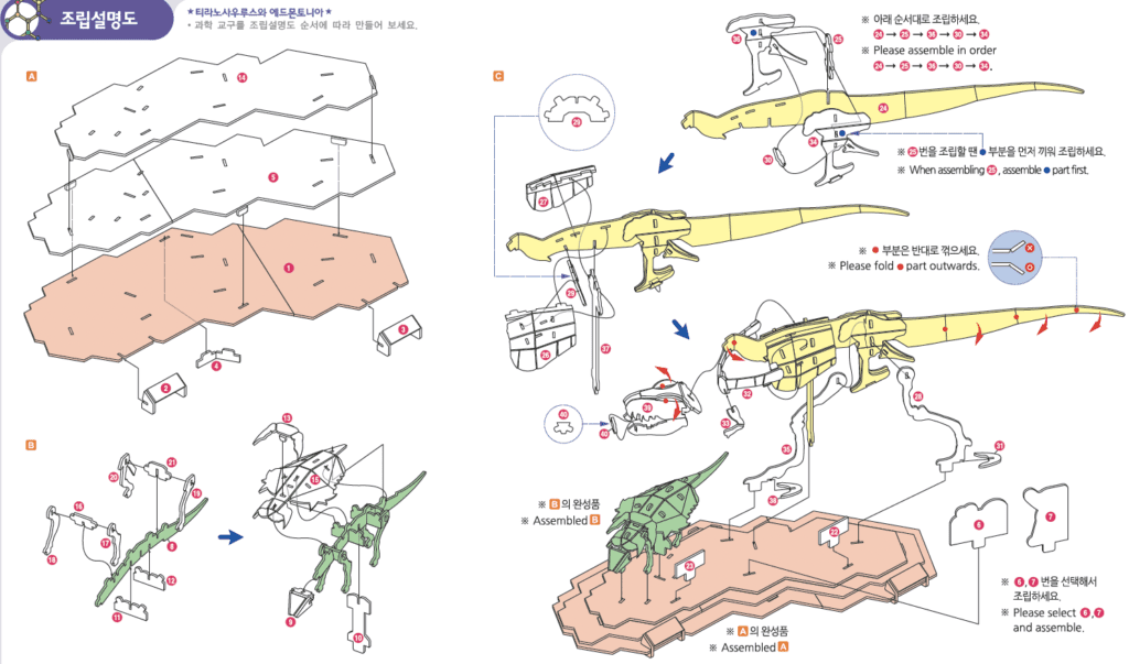Explore Dinosaur Footprints-3