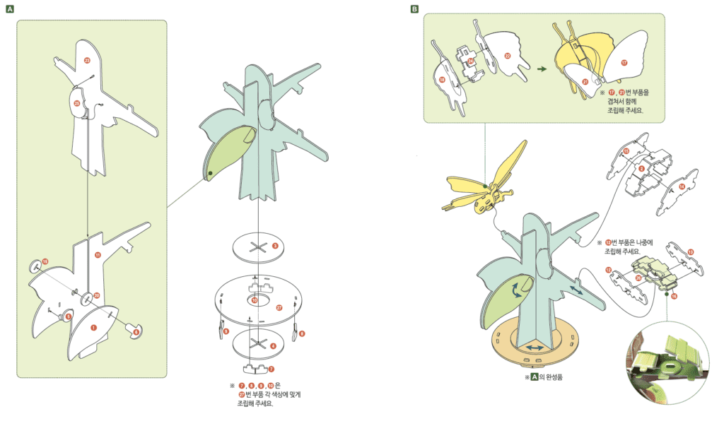 Explore the Insect Life Cycle3