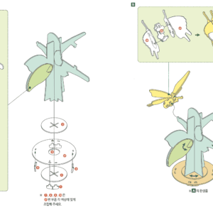 Explore the Insect Life Cycle3