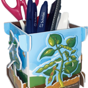 Explore the Life Cycle of Plants