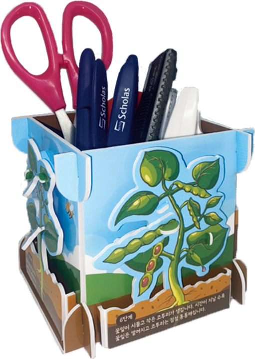 Explore the Life Cycle of Plants